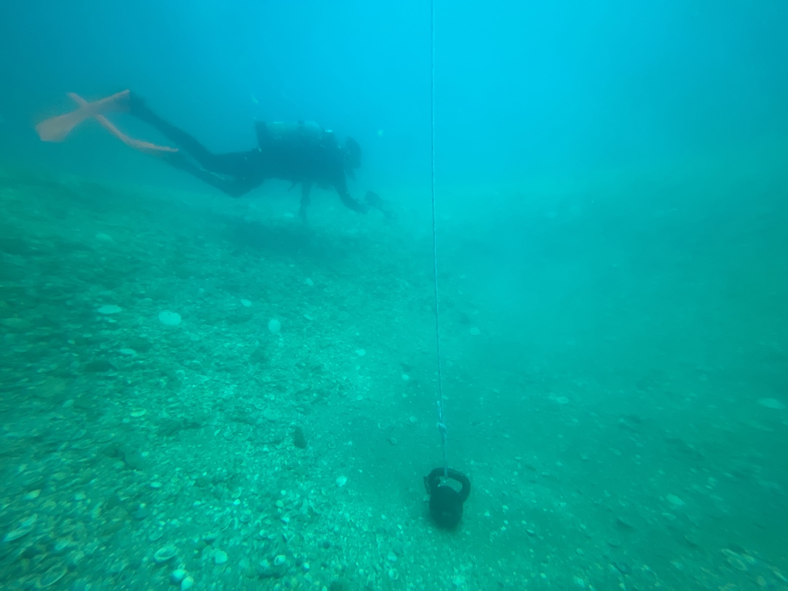 A diver following a marked search line on the seafloor