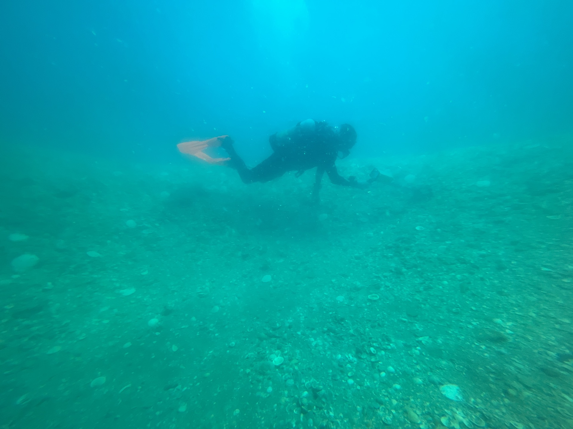 A diver working the seafloor