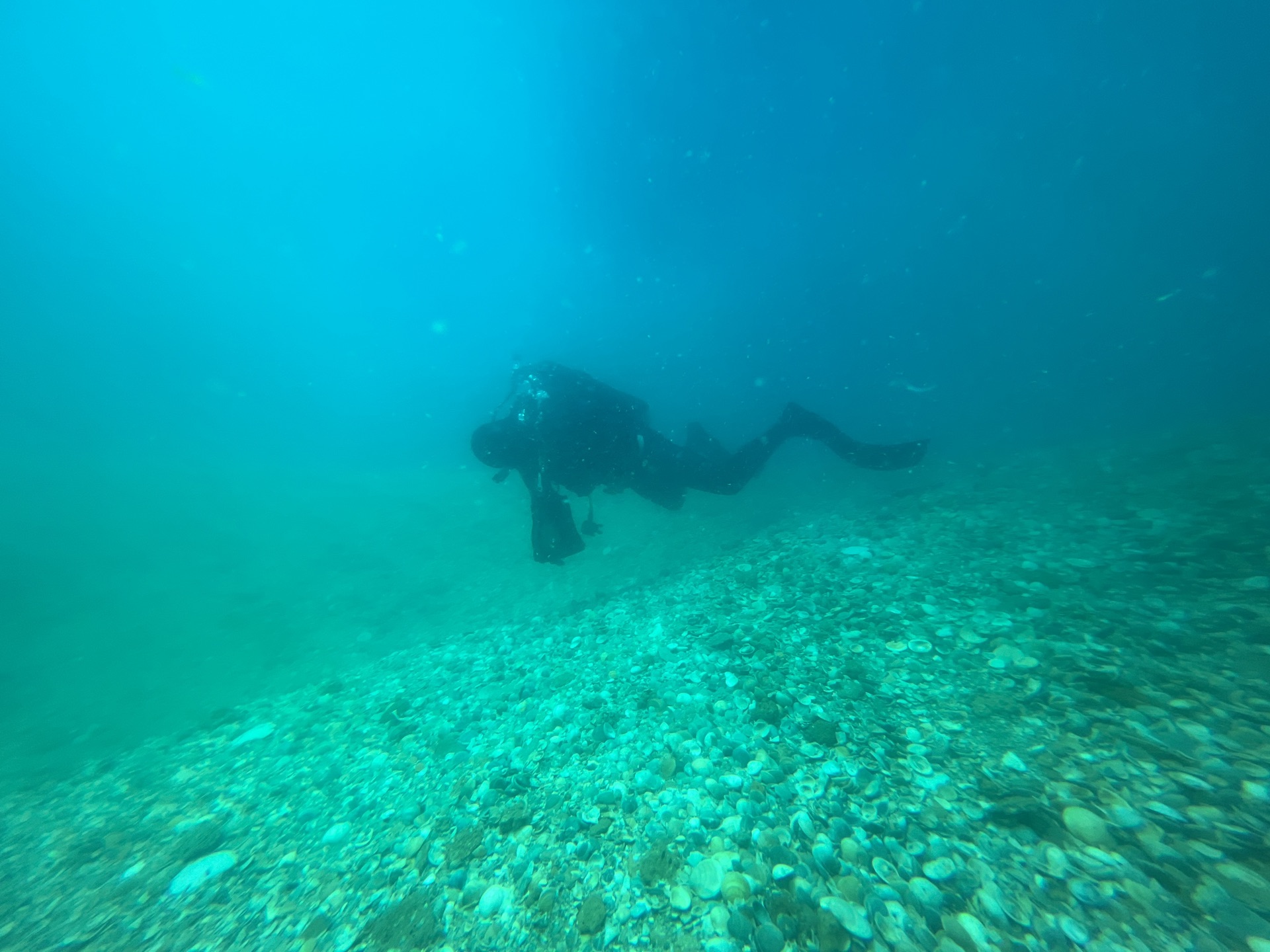 A diver over the shell-strewn seafloor of the Treasure Coast